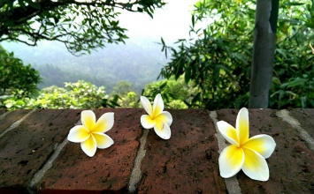 Làm gì khi nổi giận?